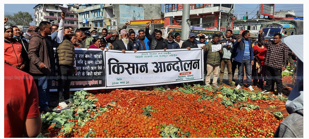तरकारी विक्रि भएन, अव के गर्ने ? आन्दोलन ।
#vegetables_Nepal