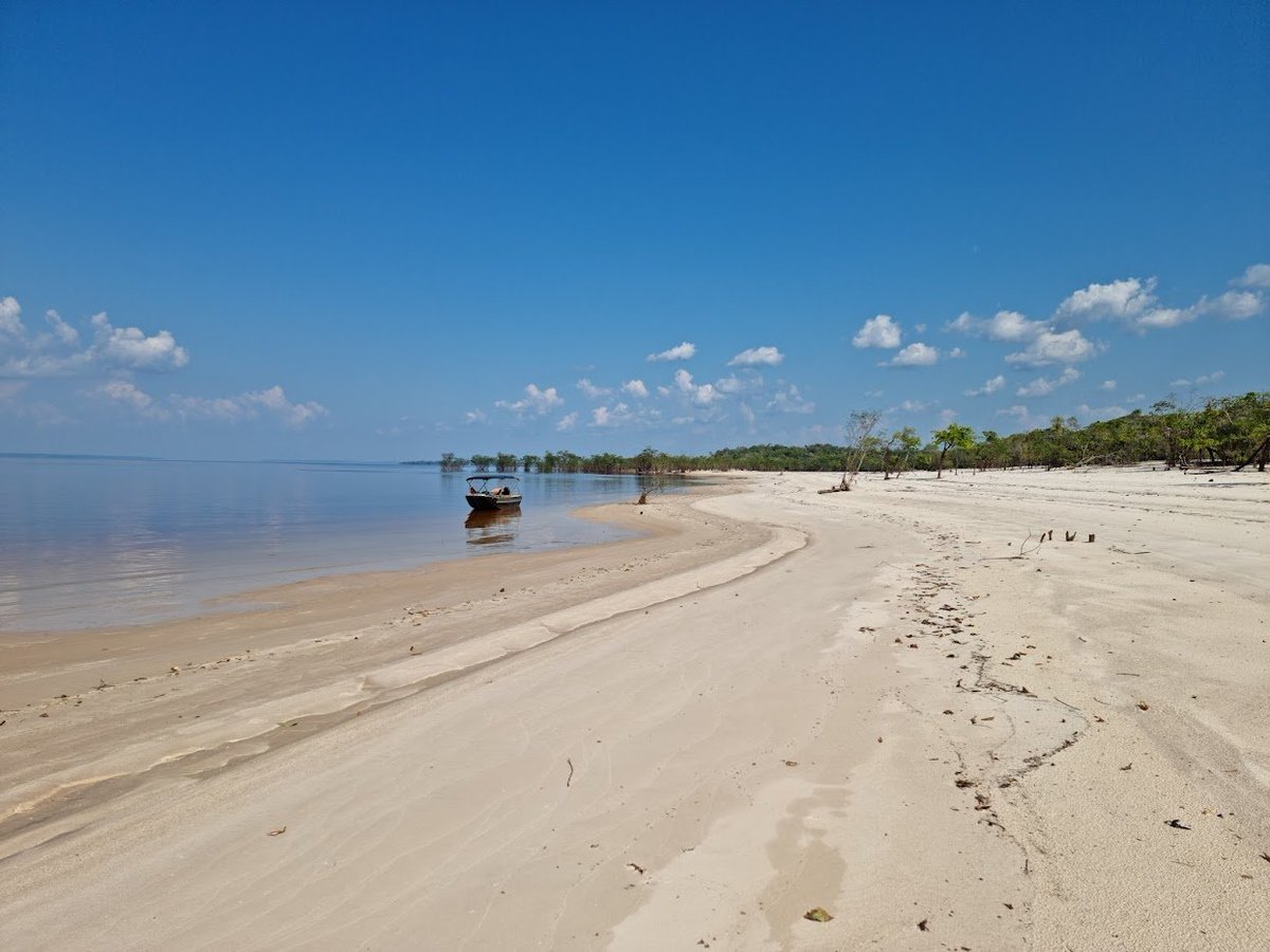 Green Transition in Amazônia | Research Project tweet media