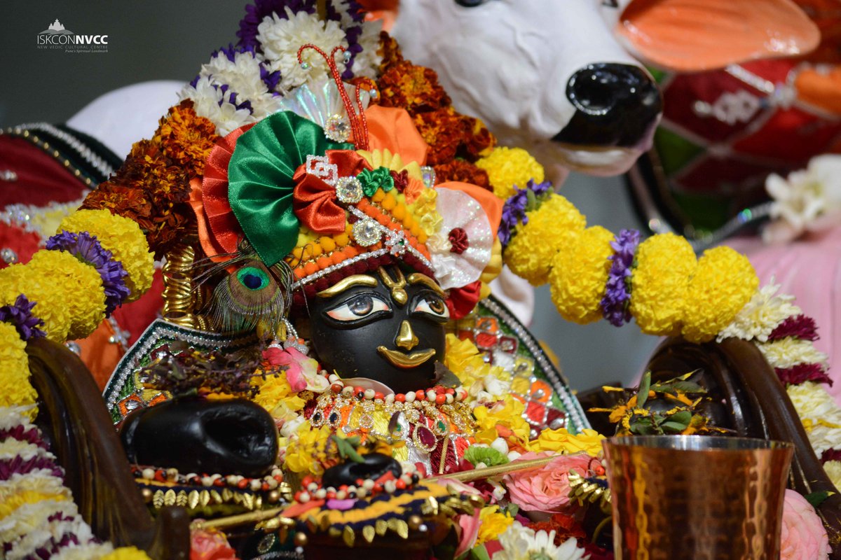 ISKCONPune's tweet photo. 🌷 Nityanand Trayodashi &amp; Brahmotsav Celebration
Special Sringar Darshan | 03-02-2023 | ISKCON NVCC Pune 🌷
Sri Sri Jagannath Baldev Subhadra
#iskconnvcc10thanniversary
#ISKCONNVCC #ISKCONPune #ISKCON
#PUNE #DailyDarshan #harekrishna
#Friday #3rdfebruary #3rdfebruary2023
#nvcc https://t.co/3kS5qK6hkO