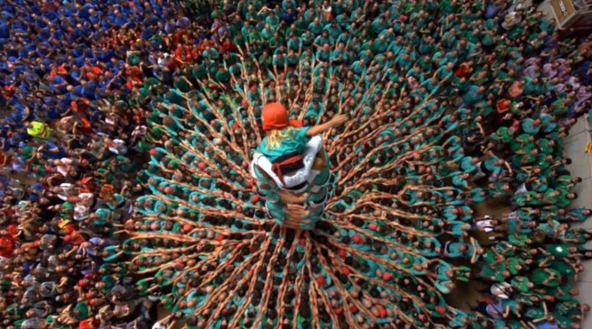 Primàries Catalunya tweet media