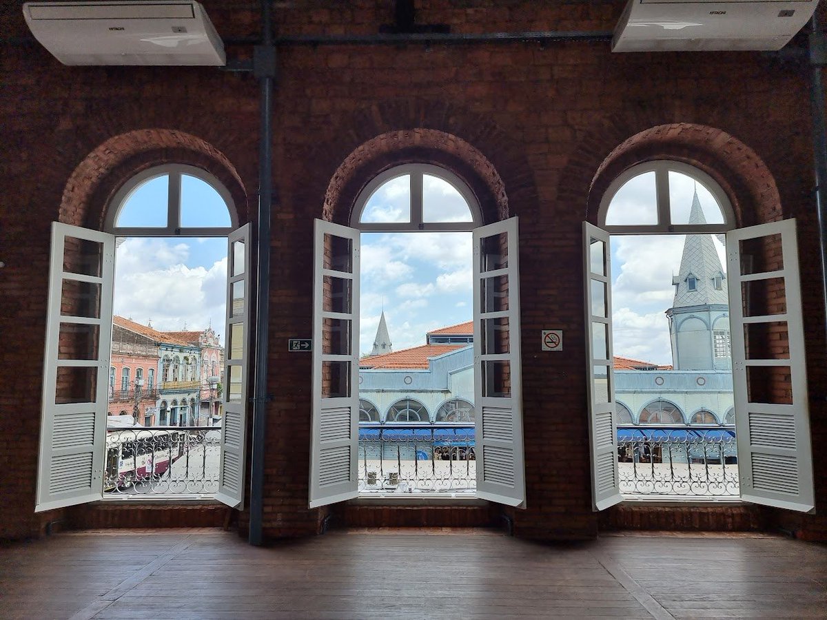 Green Transition in Amazônia | Research Project tweet media