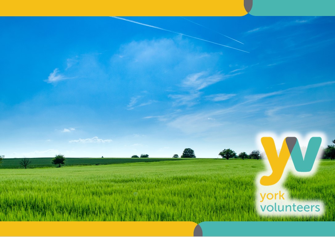 Volunteer as a Community Officer with TCV and help improve and care for green spaces in your community click below if you are interested.
yorkcvs.org.uk/volunteers/#/v…
#YorkVolunteers #Volunteering #York #MeetNewPeople #LearnNewSkills #MakeADifference #DoGood