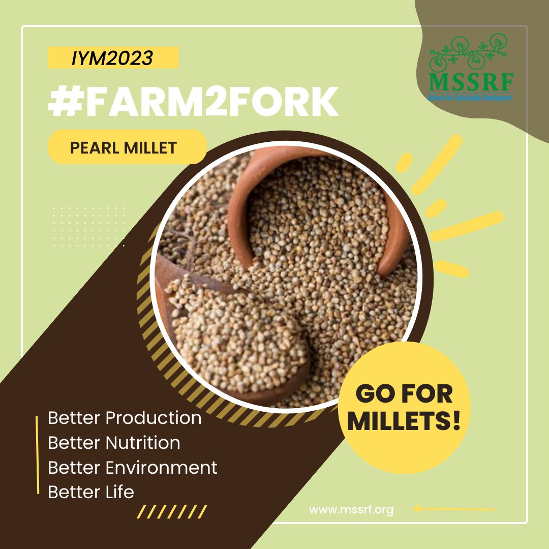 mssrf's tweet photo. #PearlMillet is a traditional #crop, cultivated in #India for generations
Kambu #Tamil
Bajra #Oriya/#Hindi
Sajjalu #Telugu
Baajri #Marathi
Kambam #Malayalam
All the above are #PearlMillet!
#Go4Millets this #IYM2023, & enjoy #BetterHealth!
#MSSRF_IYM2023
@MNForum @IYM2023 https://t.co/BFa0tcNRBs