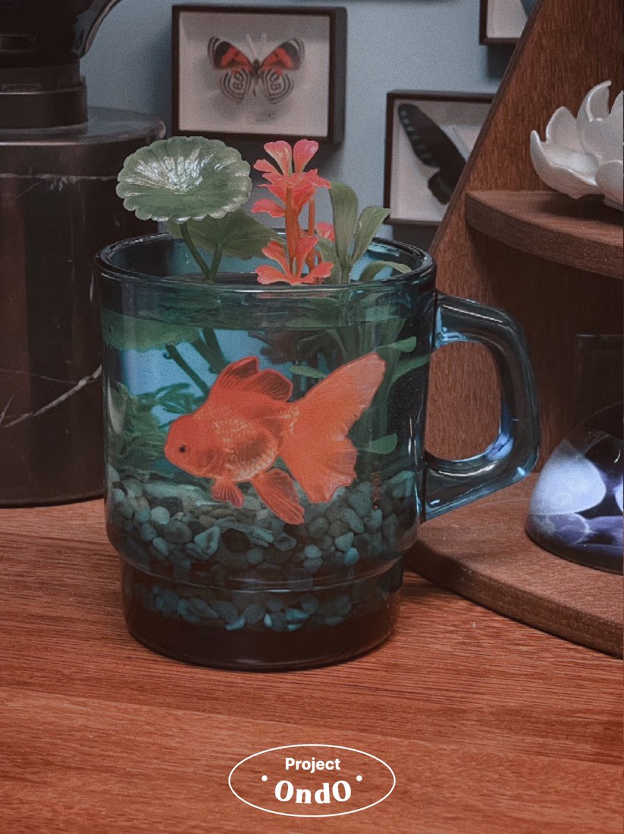 책상 위의 작은 어항 ˳𓂃𓆝  𓂂 𓆟