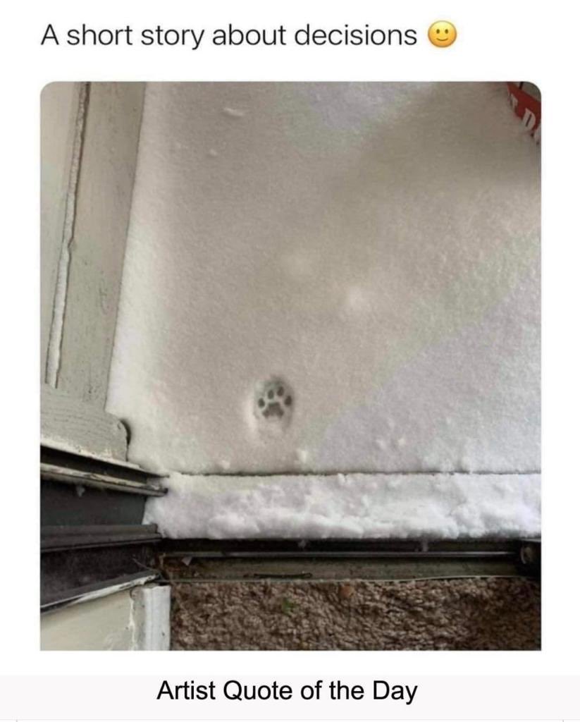 HarriettSG's tweet image. Brilliant.