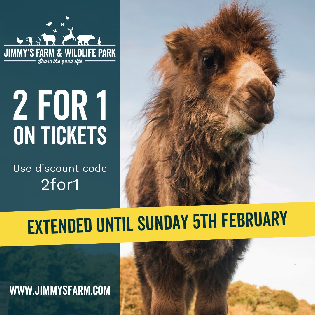 JimmysFarmHQ's tweet photo. We've extended our 2 for 1 on tickets through to Sunday 5th February 🐫

Head to https://t.co/Yqq7R4ejd9 and use the discount code: 2for1

#greatdaysout #visitsuffolk #suffolkdaysout #suffolkcoast #jimmysfarm #sharethegoodlife #thingstodoinsuffolk #suffolk #visiteastanglia https://t.co/c91ERvvvoS