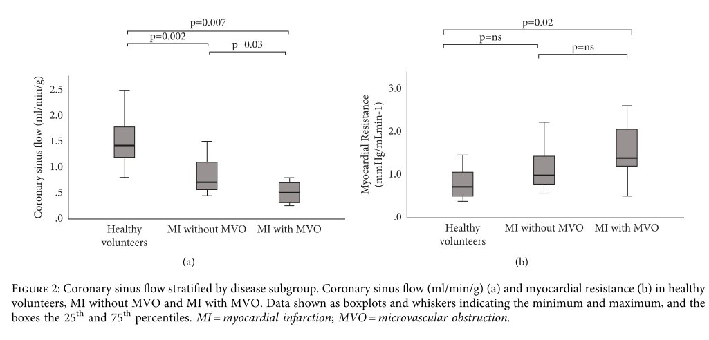 Quantifying Myocardial Blood Flow and Resistance Using 4D-Flow CMR.
Congrats <a href="/RebeccaGosling3/">Rebecca Gosling</a> <a href="/drmorriscardio/">Paul Morris</a> <a href="/DrGarethJW/">Gareth Williams</a> <a href="/pswoboda81/">peter swoboda</a> <a href="/sven_plein/">Sven Plein</a> <a href="/EylemLevelt/">Eylem Aslan-Levelt</a> <a href="/DrAChowdhary/">Amrit Chowdhary</a> doi.org/10.1155/2023/3….