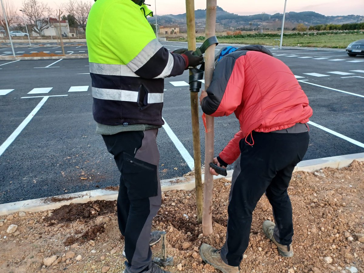 L'Hospital Lluís Alcanyís de Xàtiva acaba hui de plantar 32 arbres autòctons en el nou pàrquing, amb això s'amplia l'"àrea verda" del recinte hospitalari i permetrà zones d'ombra naturals afavorint l’atenuació de les altes temperatures que patim sobretot a l’estiu