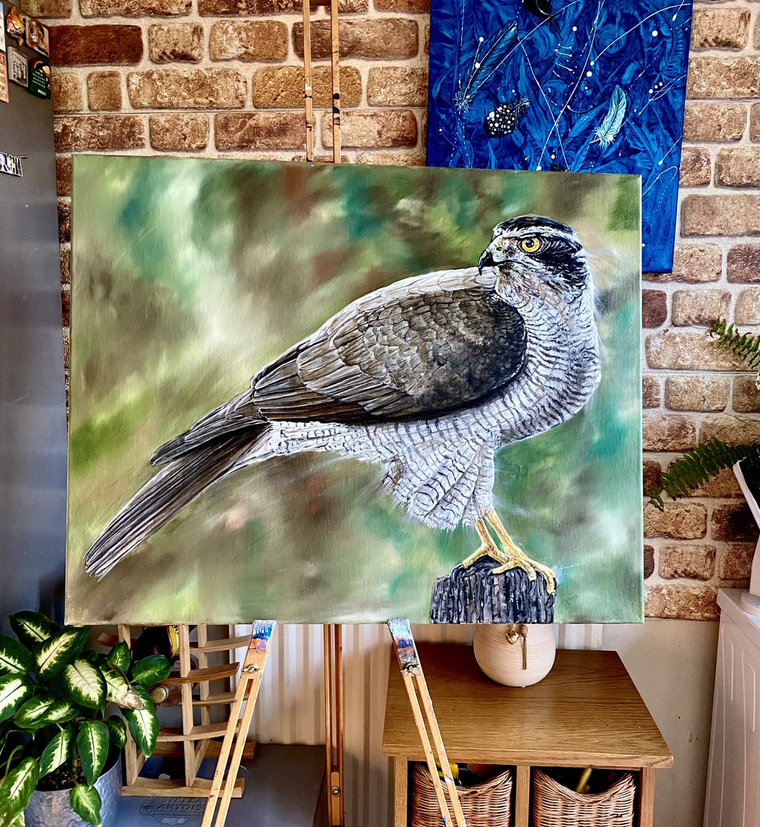 ARTSamantha's tweet image. Large Oil painting for sale. The Goshawk £450 #artforsale #painting #birdofprey #artcollector #ArtistOnTwitter #BuyArt