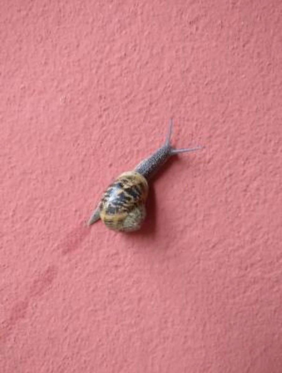 So excited to be coming together with <a href="/nish_aat/">nishat</a> <a href="/MennaAgha/">Menna Agha</a> &amp; @osaloojee to edit this theme on Infidelities with the JAE! 

Infidelity is neither refusal, criticality nor counter politics. It is a fertile ground that emerges through a certain discomfort with institutional power/1