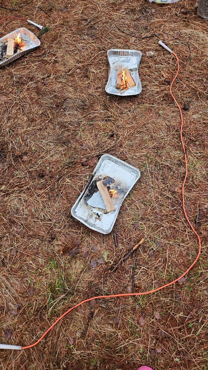 StrathdearnPS tweet media