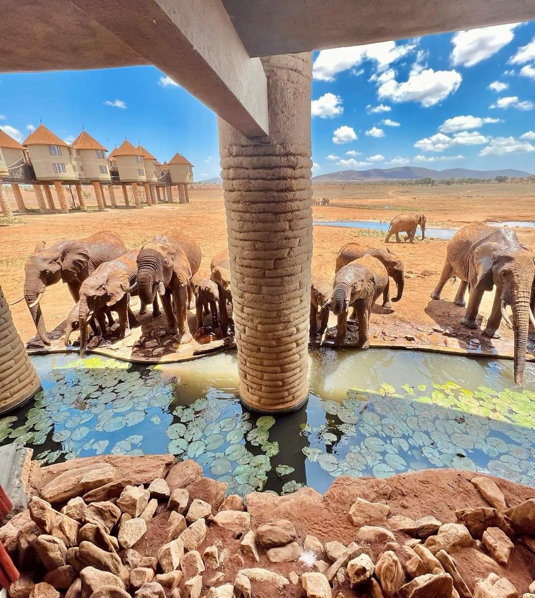 Phew.....its the magical views 😍 
@SaltLickLodge

#wherethemagicneverends #magicalkenya #magicalmoments #magical #magicalexperience #itsokenya #tembeakenya #tembeataita #Tsavo #Sekisdiary #whyilovekenya #placestovisit #postcardplaces