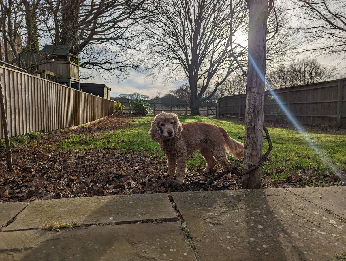 boop (formerly Oli) tweet media