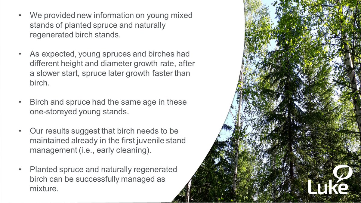 Our new article :
Growth Dynamics of Young Mixed Norway Spruce and Birch Stands in Finland
doi.org/10.3390/f14010…

@JariMiina @KarriUotila @simonblanco79
#LukeResearch #ResearchHighlight #forest
#mixedforest #SEKAVA #PUUVA #HiilestäKiinni