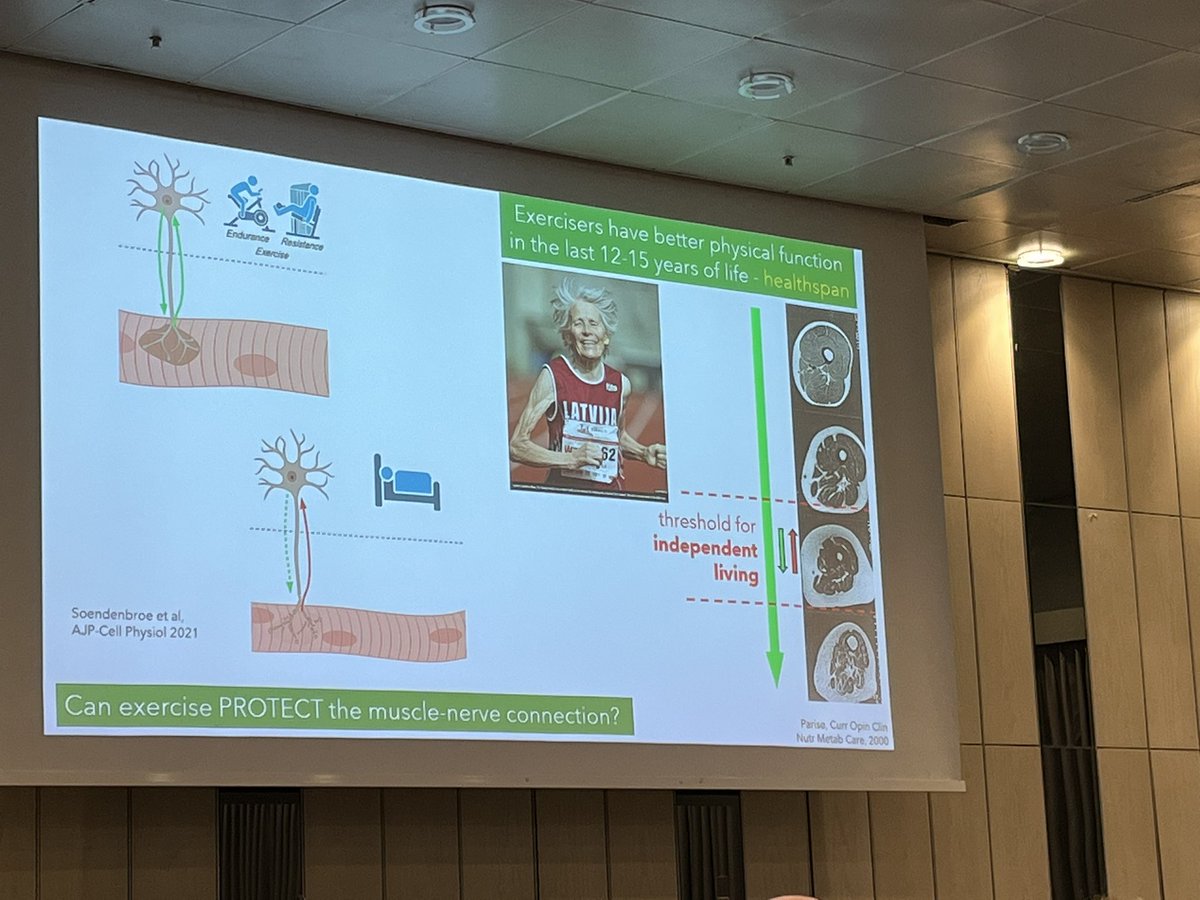 sportskongres's tweet photo. Abigail Mackey presents “Losing your nerve with ageing” and “can excercise protect the muscle-nerve connection?” @sportskongres @AbigailMackey1 https://t.co/tSsJ2Nxa84