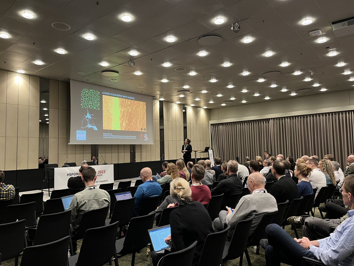sportskongres's tweet photo. Abigail Mackey presents “Losing your nerve with ageing” and “can excercise protect the muscle-nerve connection?” @sportskongres @AbigailMackey1 https://t.co/tSsJ2Nxa84