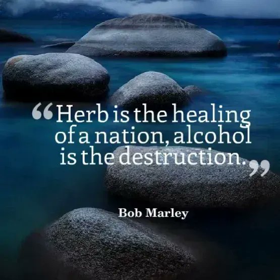 LifeTechUKLtd's tweet photo. "Herb is the healing of a nation, alcohol is the destruction." - Bob Marley
#RobinScottsCannabisPill #TheCaseforCannabis #Cannabis #CannabisCommunity #CannabisLegal #MedicinalCannabis #CannabisNews #CBD #marijuana #marijuananews #LifeTechUK #bobmarley https://t.co/mts3LNkGwn