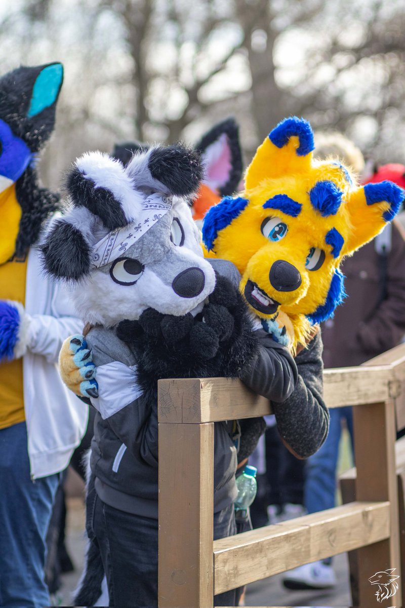 Hello there two cuties on bridge can you bring them to your home and feed them? :3
Happy #FursuitFriday to yall &lt;3

@memo_ari_fox
