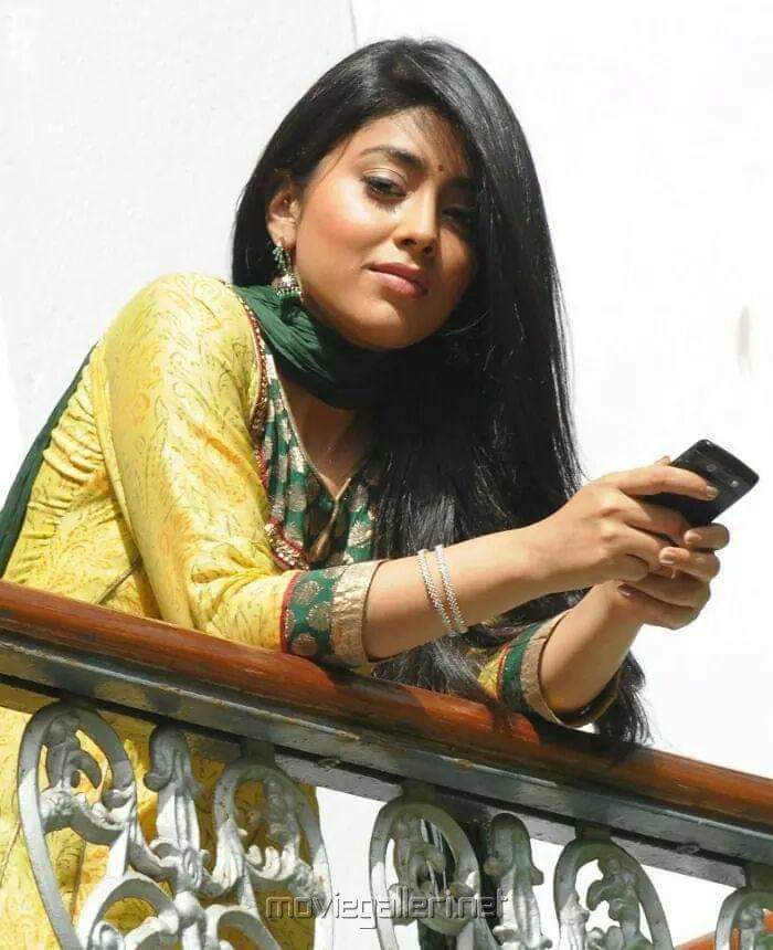 shriya Saran die hard fan (@TamannaBhatiya2) on Twitter photo 2023-02-03 10:33:32