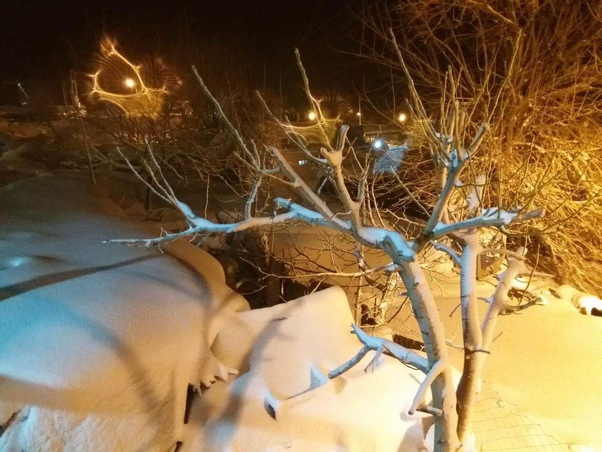 BasneJ's tweet photo. بهفربارینى ئهمشهوى ناحیەی باسنێ😍
📸تۆڕه كۆمهڵایهتییهكان
#Basne #Kurdistan https://t.co/RQpSFatLhi