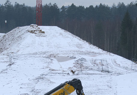 Heute im #Skandalkalender Dass der Ausbau der A49 nicht zu einer Verschlechterung für die Tierwelt führt, das hat allein die Planfeststellungsbehörde entschieden und dazu abenteuerliche Argumente ins Feld geführt! danni-lebt.de/widerstand/ska…  #keineA49 #Dannilebt