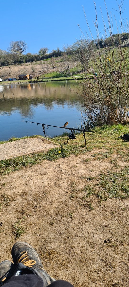 Spring is approaching 🙏  my goal is land a 20lb+ this year