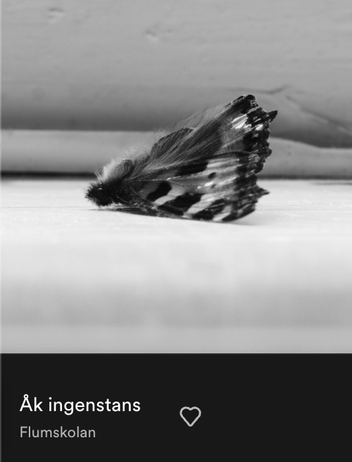 peklof's tweet photo. Jag och @LarsLengquist gav ut lite musik häromdagen. 
"Perfekt jobbmusik" är ett av omdömena och eftersom vi är många som jobbar 8 timmar om dagen så är det ju bara att slå på och lyssna 8 timmar åt gången tänker jag. Sök efter Flumskolan där du brukar strömma musik. https://t.co/F3S89Q1n6T