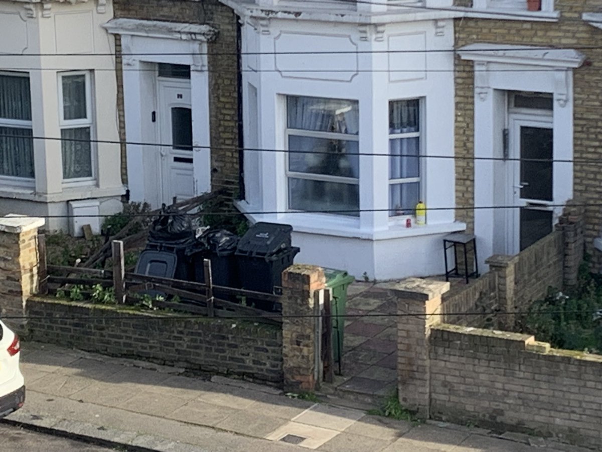 Daniel Thomas tweet media