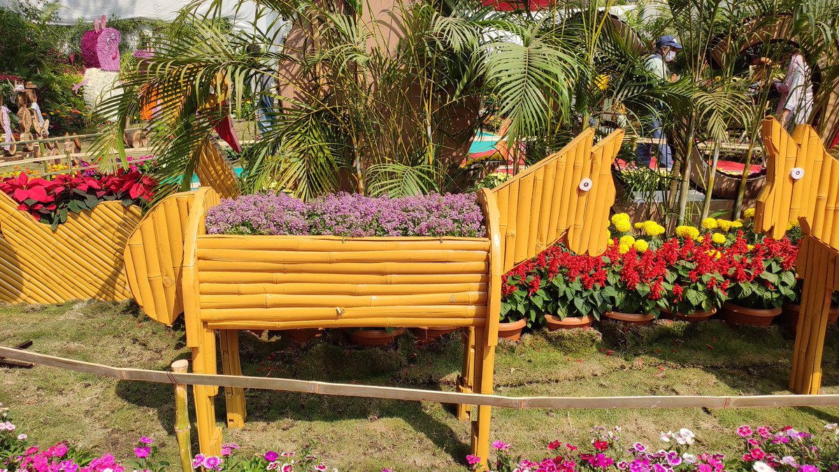 ℍ𝕚𝕥esh on Twitter "Just came back from the annual flowers Show at