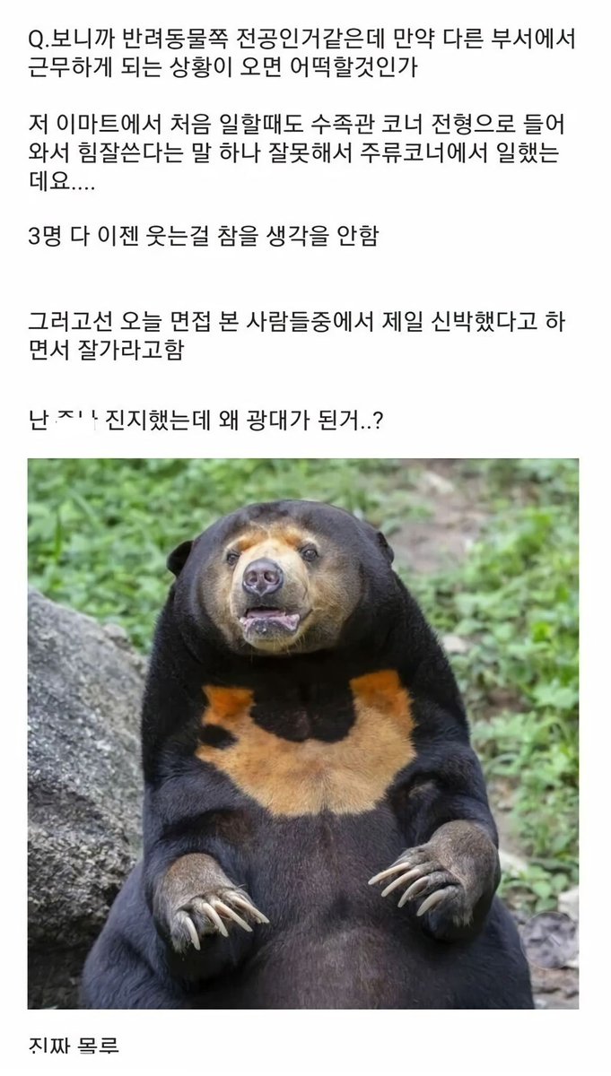 ssulchive tweet picture