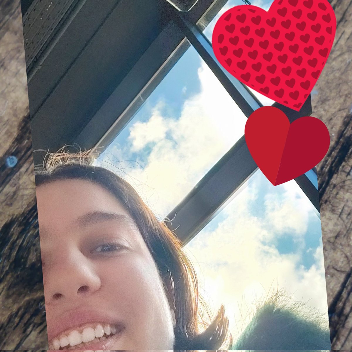 FionaLizb's tweet photo. #NewProfilePic https://t.co/Uu3yF4KIWa