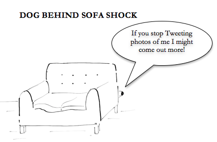 GWiley11's tweet photo. Dog Stays Behind Sofa Shock
#SophieFromRomania
@amolrajan https://t.co/g442xjdcXf