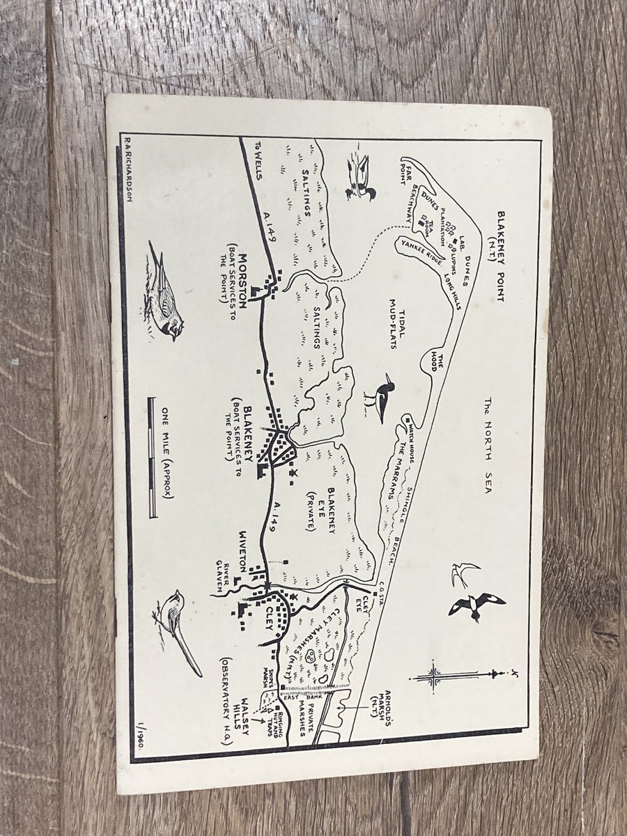 Just sifting through a consignment for the Natural History Auction at work and this interesting 1960 Cley Bird Obs Report dropped out <a href="/Vaasetter/">The White Falcon 💙</a> <a href="/BirdingN/">Birding Cley.</a>