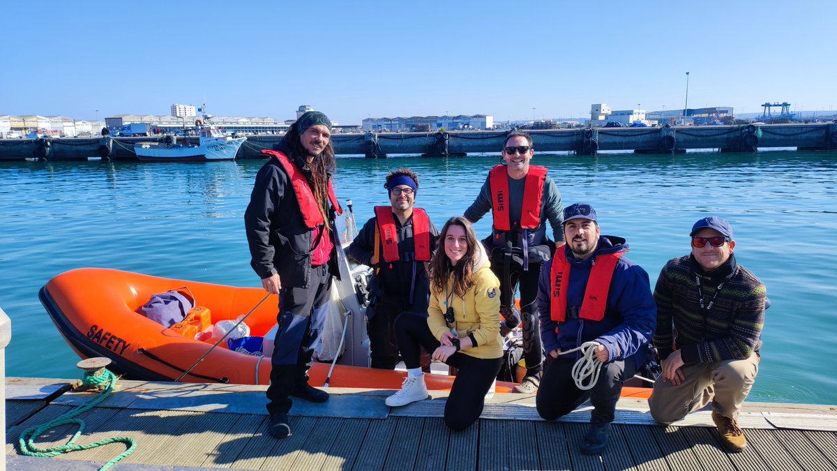 Round two! 🤩 @CiimarUp and @ESTM_IPL deployed a new batch of #greengravel for the project #BlueForests! 
We hope that our little kelps will help to restore our #underwaterforests 🌊

#kelpforests #oceanconservation #ourocean #bluecarbon