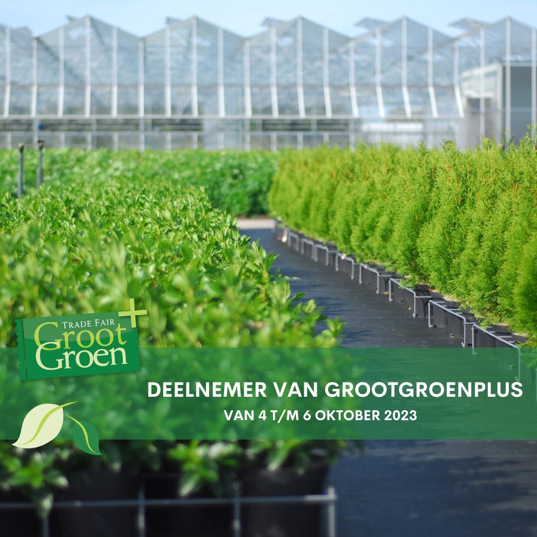 grootgroenplus tweet media