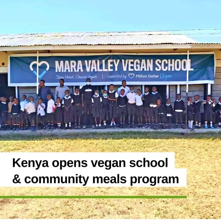 A Vegan school has been opened in my country in Kenya, supported by @milliondollarvegan and local community leader Jack Lekishon. instagram.com/jack.lekishon?…