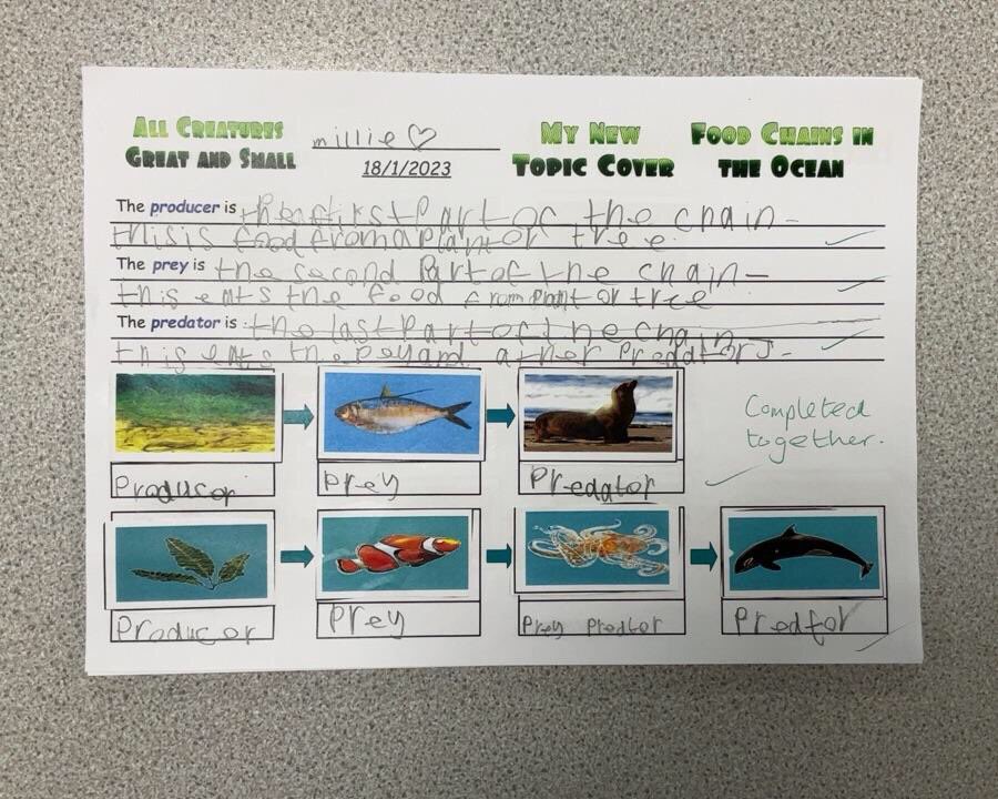 islwynsrb's tweet photo. Sirhowy returned to the topic ‘All Creatures Great and Small’ this week. We studied the habitat and food chains of the desert before using ‘The Gruffalo’ to inspire our creative writing, we described our own versions! #themedlearning #exploringtheworld #informedlearners https://t.co/vgOXWyDHh4