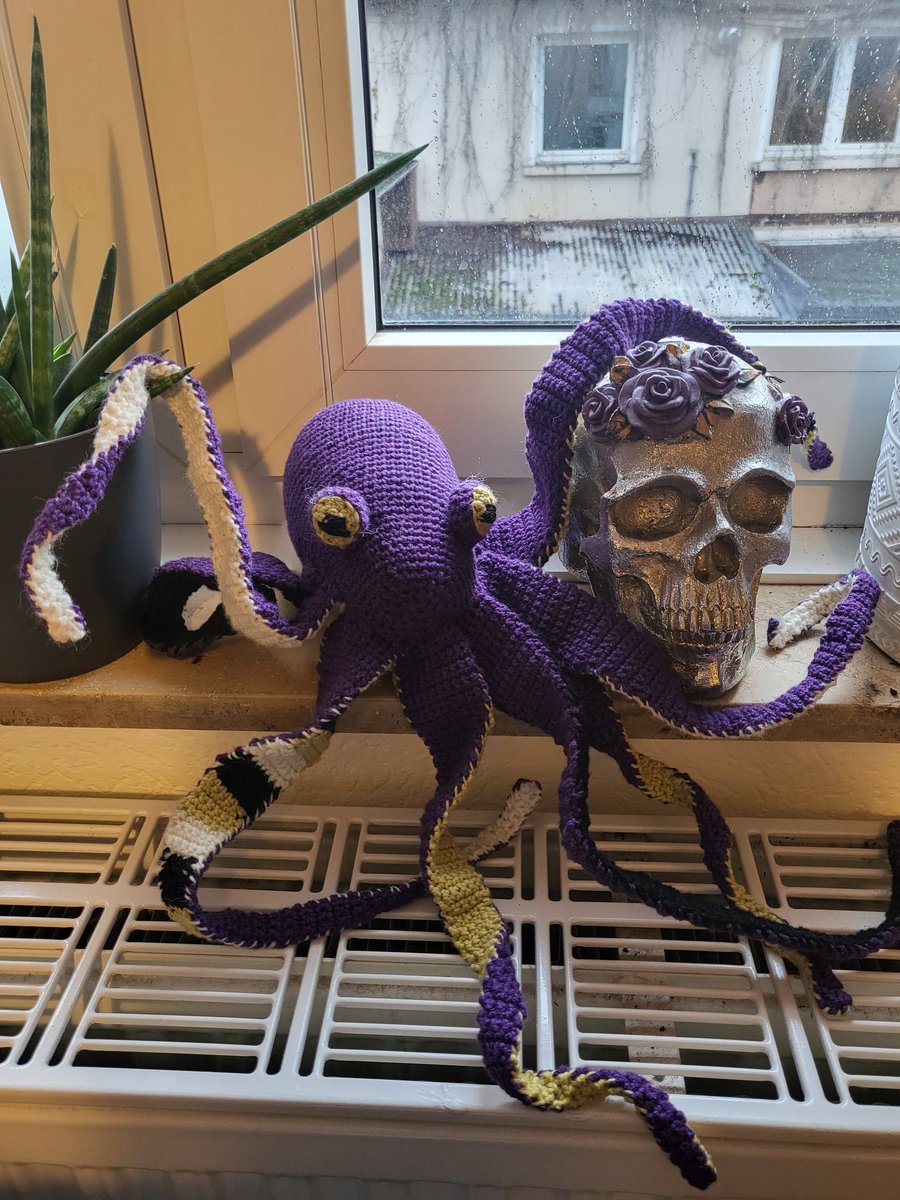 haemophagus's tweet image. Look, it&apos;s a Nonbinoctopus! 😁
💛🤍💜🖤
#ProjektOR