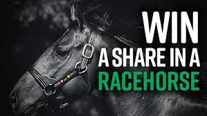 garnoldracing's tweet photo. Win a share in a racehorse in this charity based prize draw.
https://t.co/7KKCaVIkL2 https://t.co/vBZo48lTAX