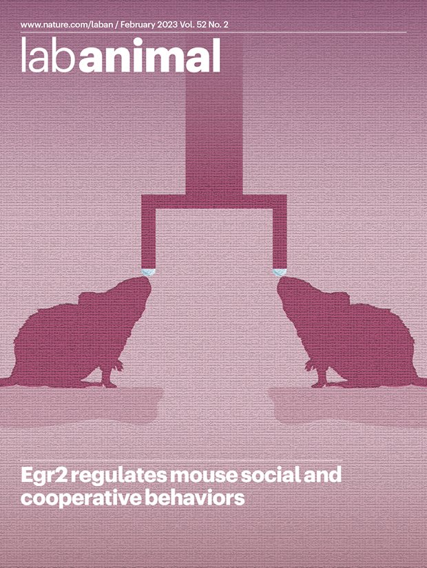LA_NatRes's tweet photo. ✨Our February issue is now live✨
https://t.co/AoJC0g4emF

On the cover:
Zhang et al. show that transcription factor Egr2 in the medial prefrontal cortex regulates mouse social and cooperative behaviors. 
Link👉 https://t.co/VXMj4HjcDT https://t.co/u8tvDjK2wR