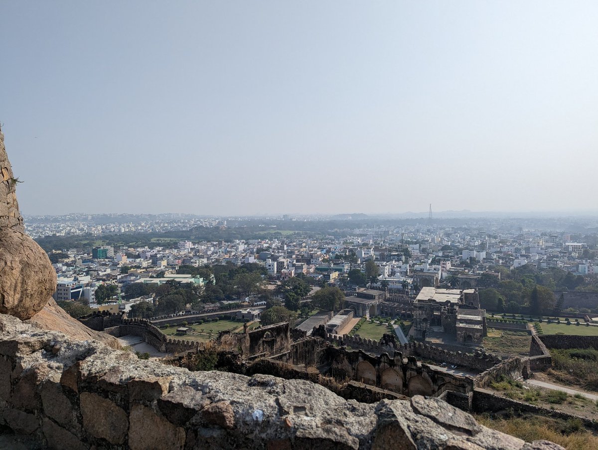 Tyler King tweet media