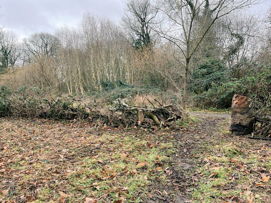 Have you seen the Education Area the Urban Rangers have created in Bute Park recently?
Any vegetation cut back has been recycled into Hedgerows - Great for the local wildlife!
#CardiffParks #Cardiffcouncil #loveyourcity