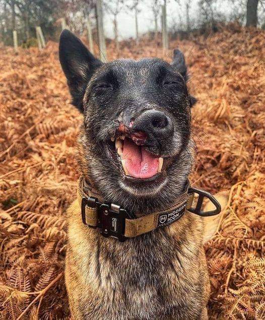 Today is my birthday hope I get some love here 💕