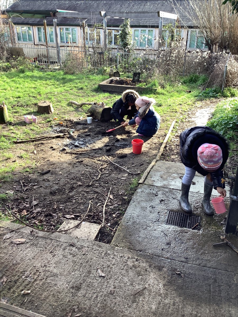 A beautiful day in the forest!