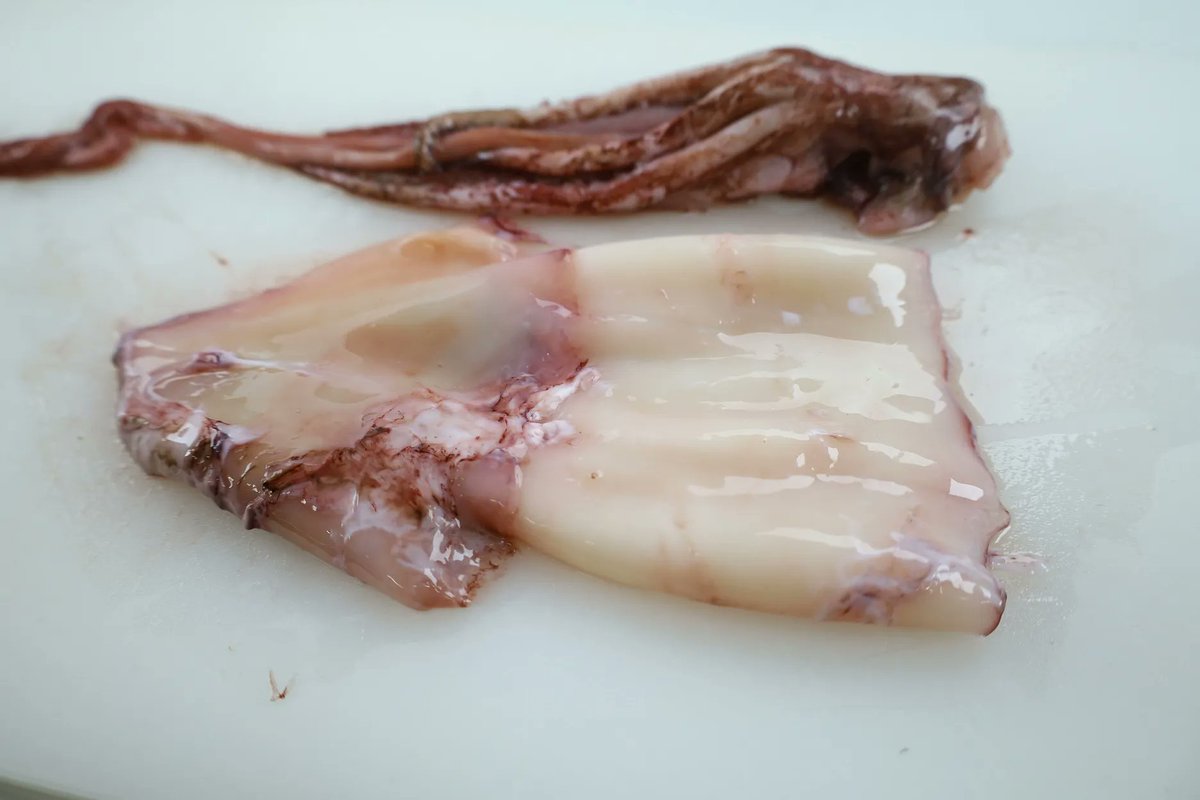Dougen_Export's tweet photo. こんにちは！　　道源です！

本日は「ドスイカ」に豆板醤を和えて、焼いてみました～！
ドスイカって足が早いので、市場ではほとんど見かけないですよね？
私も初めて食べましたが、ものすごく柔らかくて、イカの風味もしっかりと
しててすごく美味しかった！
#魚 #水産加工 #イカ #市場 #spuid https://t.co/uWj2QcgPFK
