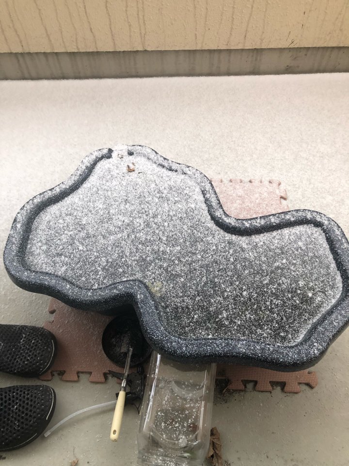 ベランダで飼ってるメダカがガチガチに凍った時には全滅を覚悟したけど、この状態で生き残ってたの生命力強くて感動する