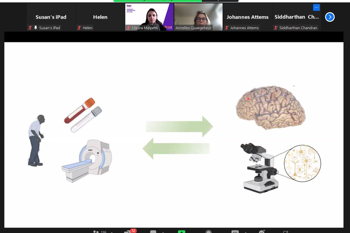 PSPAssociation's tweet photo. Dr Annelies Quaegebeur will now talk about how Neuropathology can help in terms of searching for causes and a cure.
Neuropathy is brain tissue under the microscope - showing nerve cells and glia.
#PSPAResearch https://t.co/xPpyzadTyo