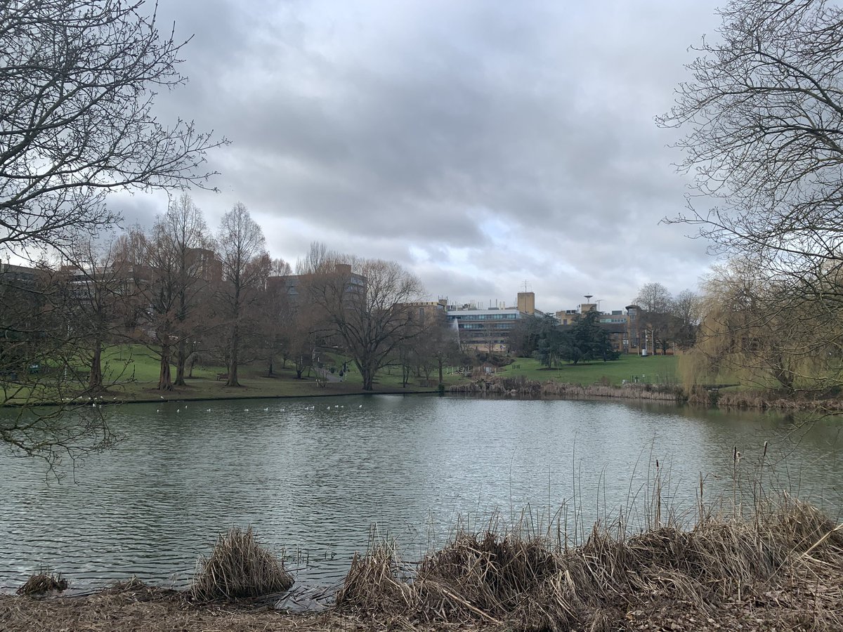 AdamChild_HE's tweet photo. It’s my final day @UniOfSurrey so I’m taking a final chance to explore the campus before joining @warwickuni on Monday. When life takes over it’s easy to forget how pleasant university campuses can be! #campus https://t.co/SiHWqG8Km8