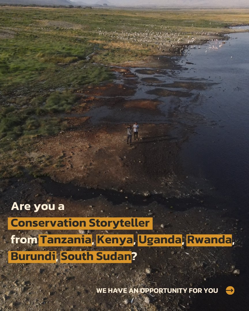 AfrisosNGO's tweet photo. NGO communicators, scientists, filmmakers, and photographers focused on conservation are encouraged to apply for this once in a life time opportunity to take your storytelling skills to the next level.
#conservation #afrisos #grumetifund #medialab #opportunitiestorafricans https://t.co/2u4nvsL2cg