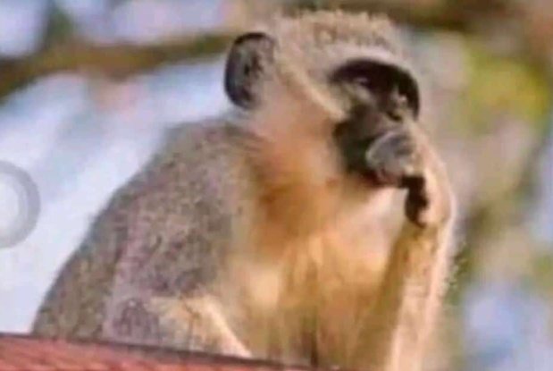 Shorty46037294's tweet photo. They have posted those who made their year 😊☺️☺️☺️☺️but they will text us when they need 10k urgently 😒😒😒😒😒😒☺️☺️☺️ https://t.co/UQwORgmvM9